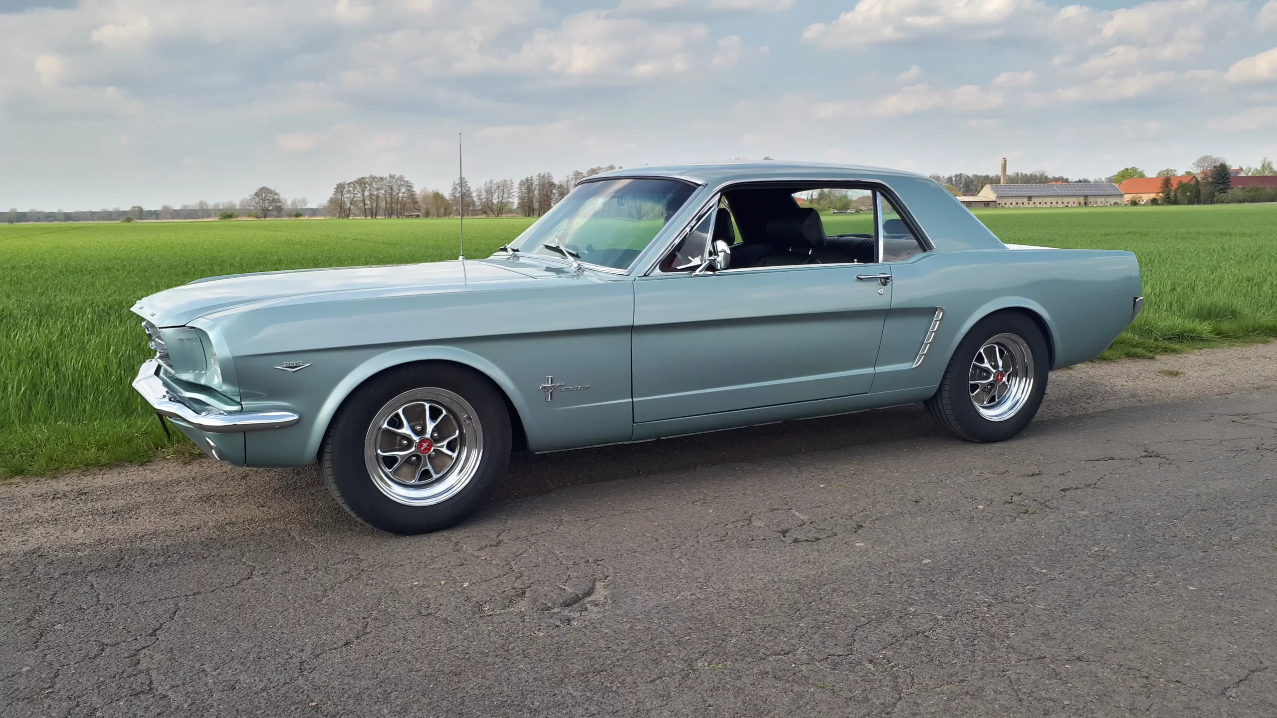 24 – Beschorner – Ford – Mustang *