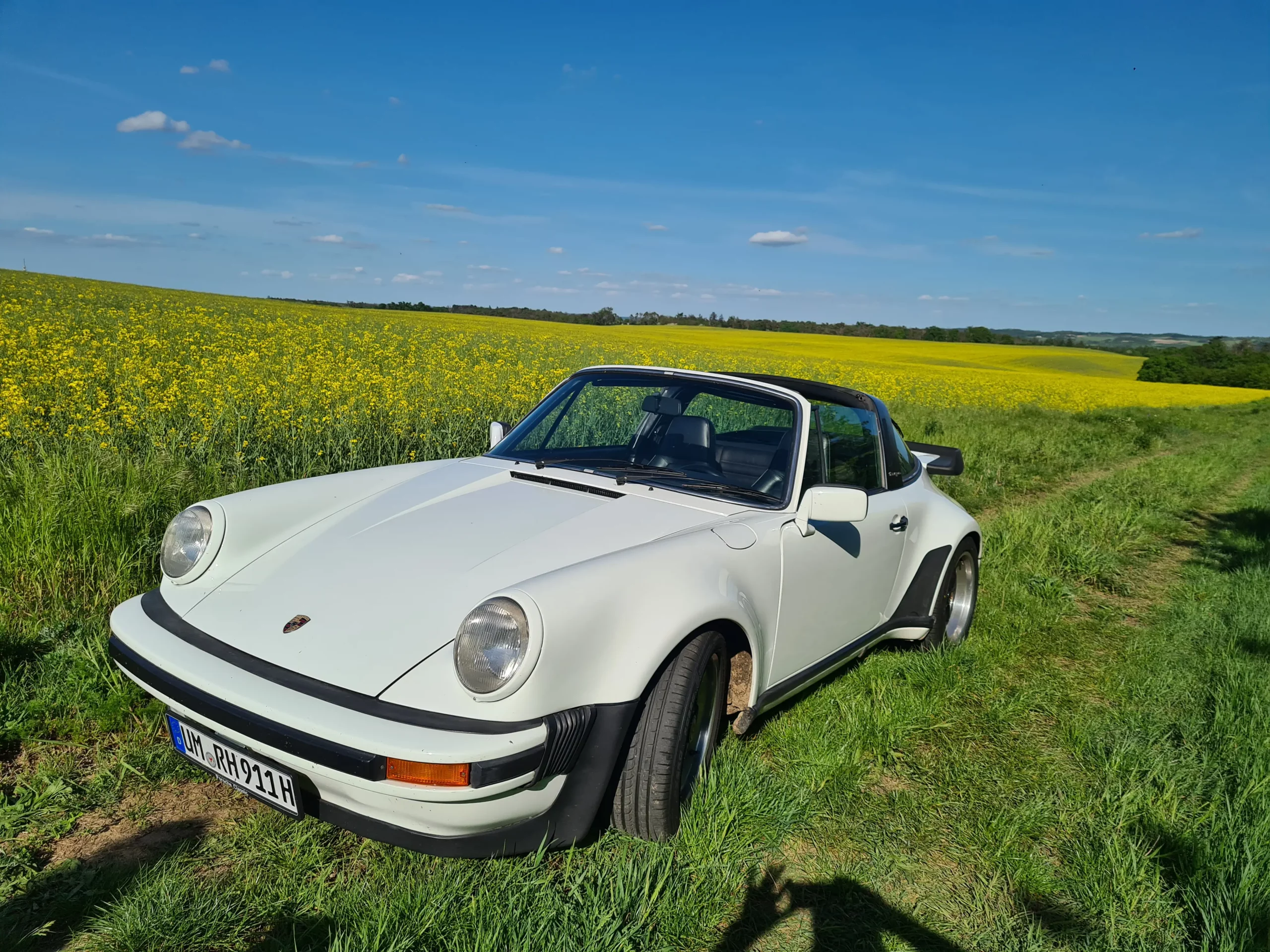 51 – Hohaus – Porsche – 911 Targa *